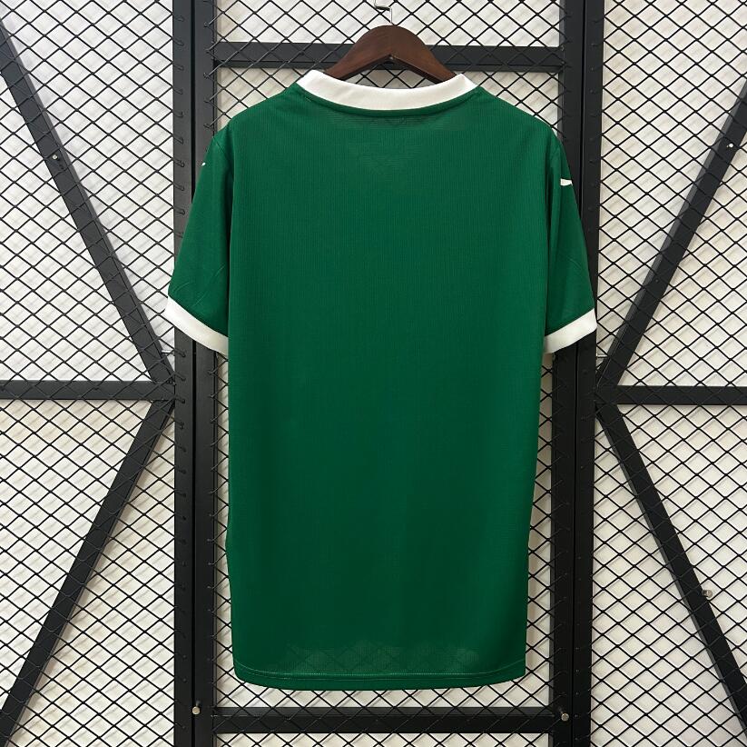 Camiseta Palmeiras 2025/26 primera equipación versión fan detalle escudo – Cortita y al Pie