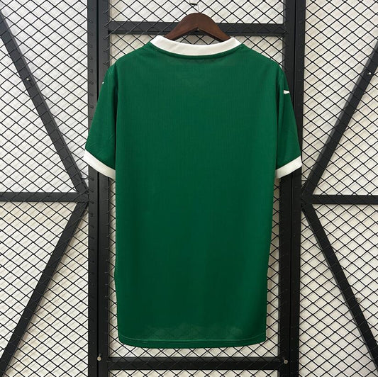 Camiseta Palmeiras 2025/26 primera equipación versión fan detalle escudo – Cortita y al Pie